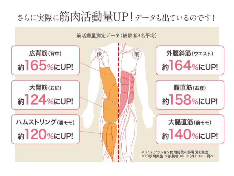 市場 芦屋美整体 ローズピンク ダークブラウン 骨盤スリムスタイルクッション