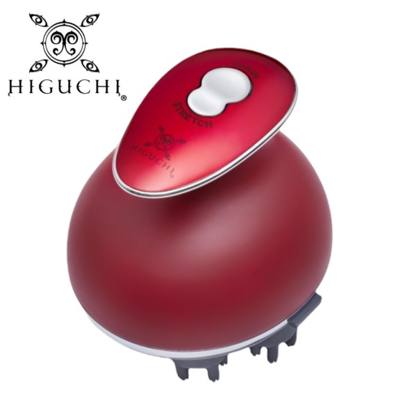 HIGUCHI式　ヘッドスパ&フェイスケア DVD】HIGUCHI式ヘッドスパ&フェイスケアの卸・通販 | ビューティ