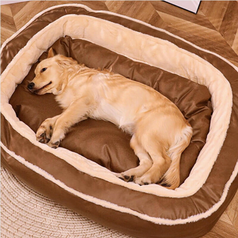 大型犬 臥榻 肉厚座布団 愛玩動物臥榻 大型犬 犬 座布団 愛玩動物 小型犬 中型犬 大型犬 柴犬 引っ敷き 真四角型 生あたたかい 防寒打つ手 変わり無く通じる 上滑り打ち切り 御前上等 室内装飾に合う 愛玩動物臥榻 小型犬 猫 座布団 愛玩動物 小型犬 中型犬 大型犬