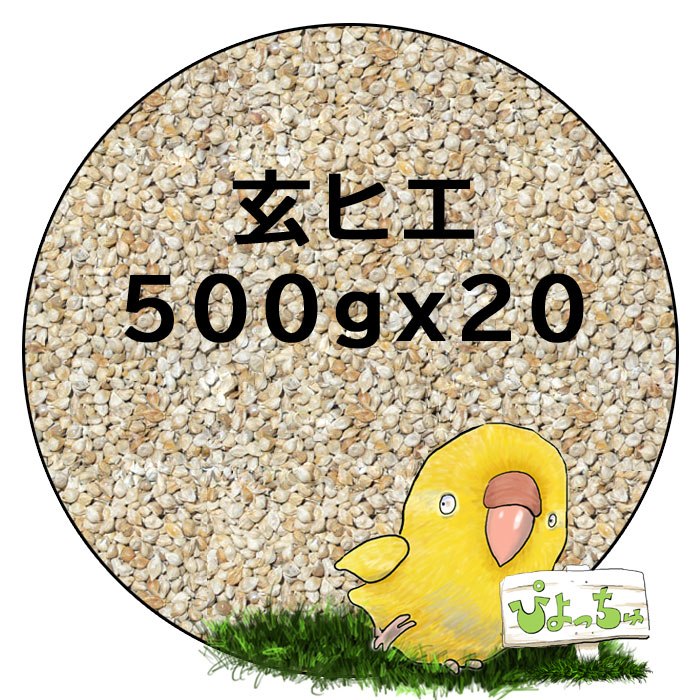 玄 ヒエ 500g×20 2021新商品