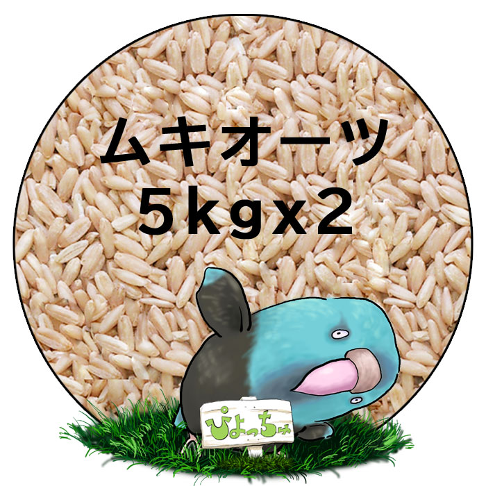≪超目玉☆12月≫ カエデ鳥 文鳥春用ブレンド 1kg