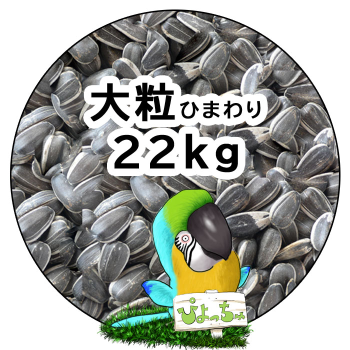 大粒 ひまわりの種 22kg