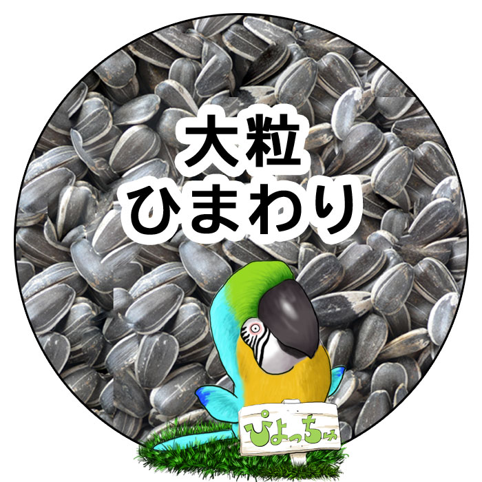 【楽天市場】大粒 ひまわりの種 22kg ：鳥の餌 インコ えさ