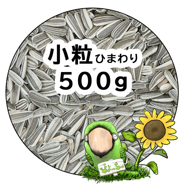 競売 大粒 ひまわりの種 22kg ：鳥の餌 インコ えさ fisd.lk