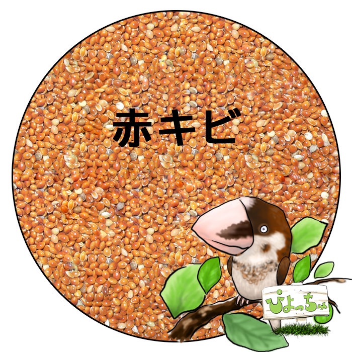 赤 キビ：鳥 餌 インコ えさ