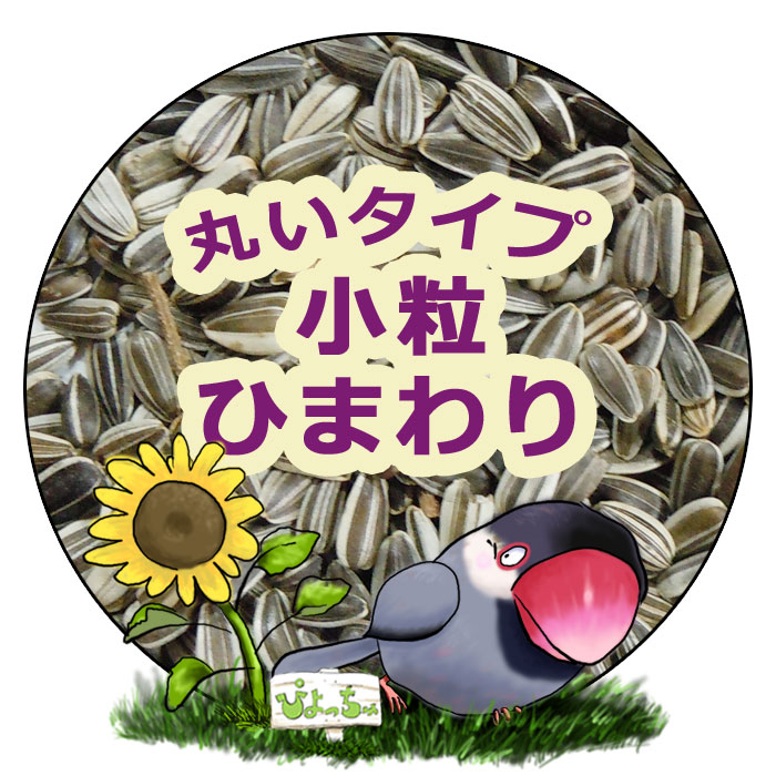 ひまわり様グレー一枚 手染め注染浴衣3点セット utatane×注染工房 グレーにひまわり（浴衣
