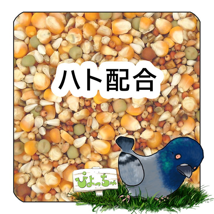 楽天市場】鳩の餌 鉱物飼料 塩土 レースマスター 1箱（40個