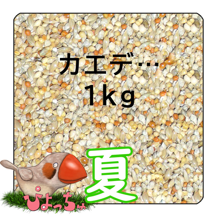 カナリヤ春用ブレンド　2.5kgx4