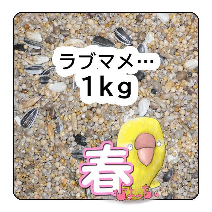 独特の上品 鳩餌 小粒 800g 鳩餌(小粒)800g