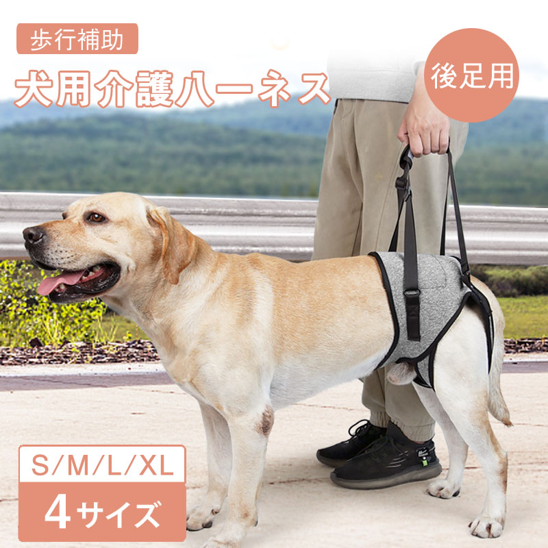 歩行補助ハーネス ② 31q5rT4ZzhL.jpg_BO30,255,255,