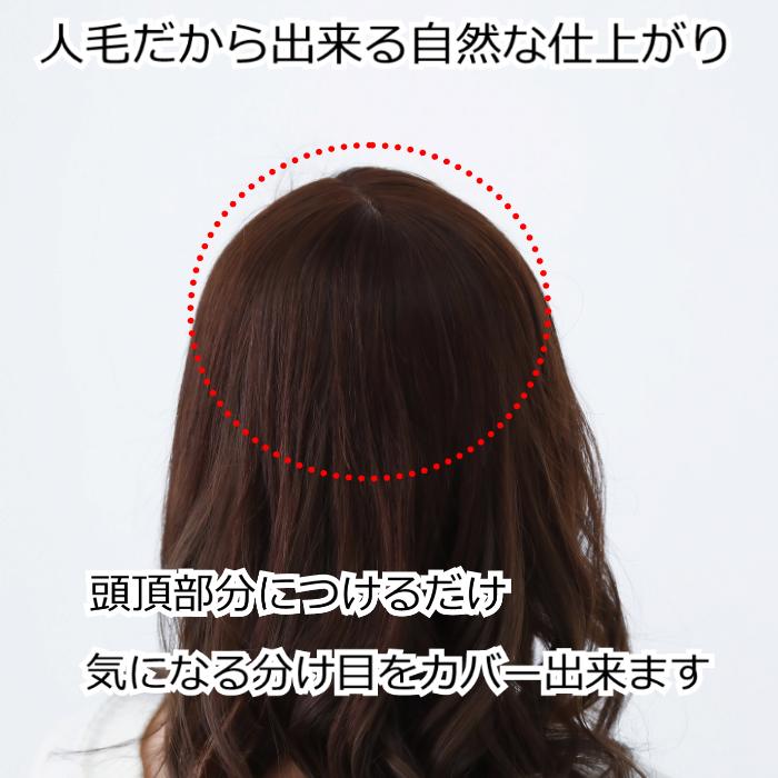 人毛ヘアピース自然になじむ部分かつら女性用