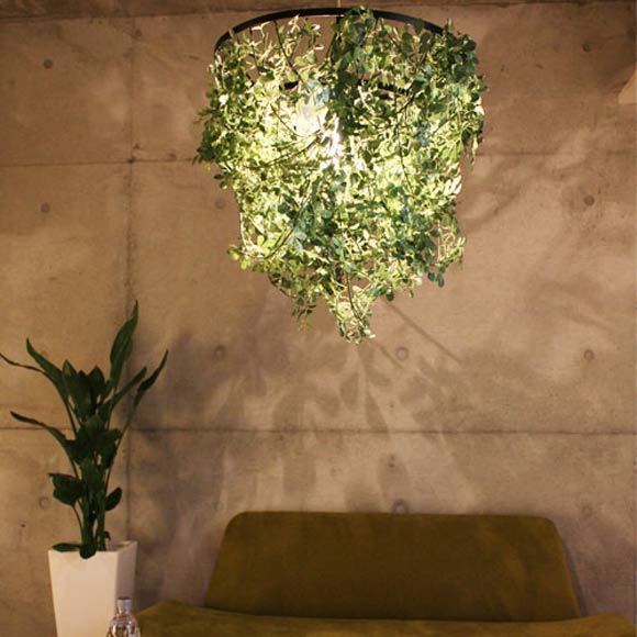 DI ClASSE ディクラッセ　植物　照明　LED mini foresti 楽天市場】DI CLASSE ディクラッセ ミニ フォレスティ ペンダント