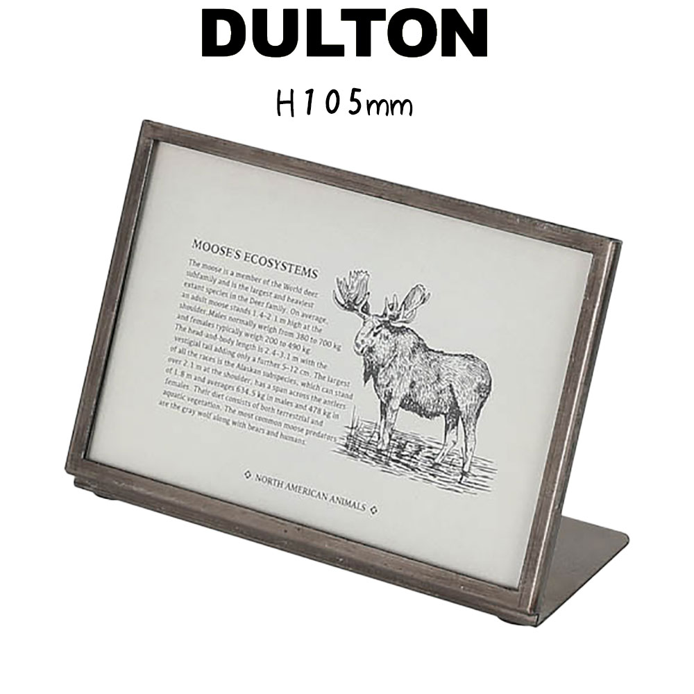 DULTON ダルトン アートフレーム３点セット！　ボタニカルアート DULTON ONLINE SHOP | GALVANIZED FRAME STAND A0(A0): ハウスウェア