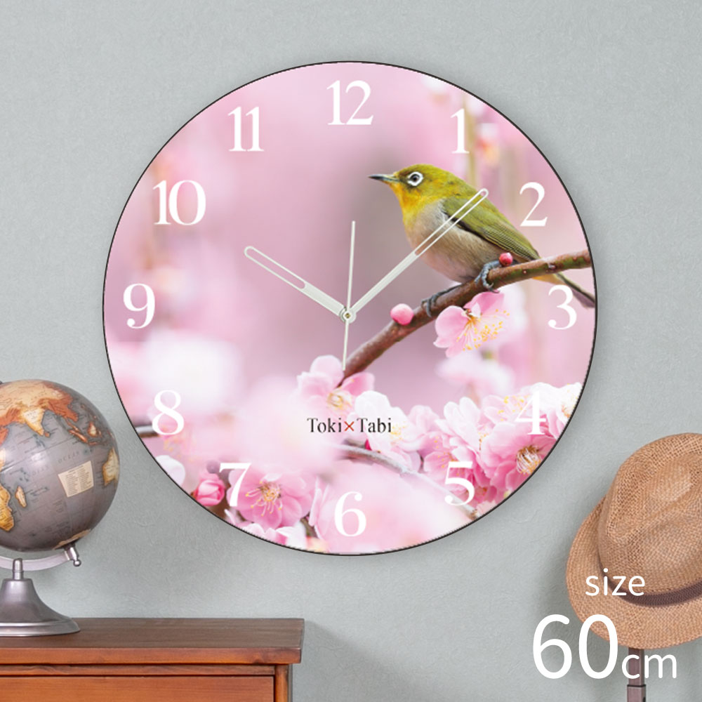 A+ (アクセントプラス) Toki&times;Tabi 梅の花とメジロ -pink- 60cm 大型時計 秒針あり 大きい 時計 壁掛け時計 日本製 絶景 風景 丸い 静か 愛知県 名古屋市 バードウォッチング 鳥 満開｜plank　店 14,250円