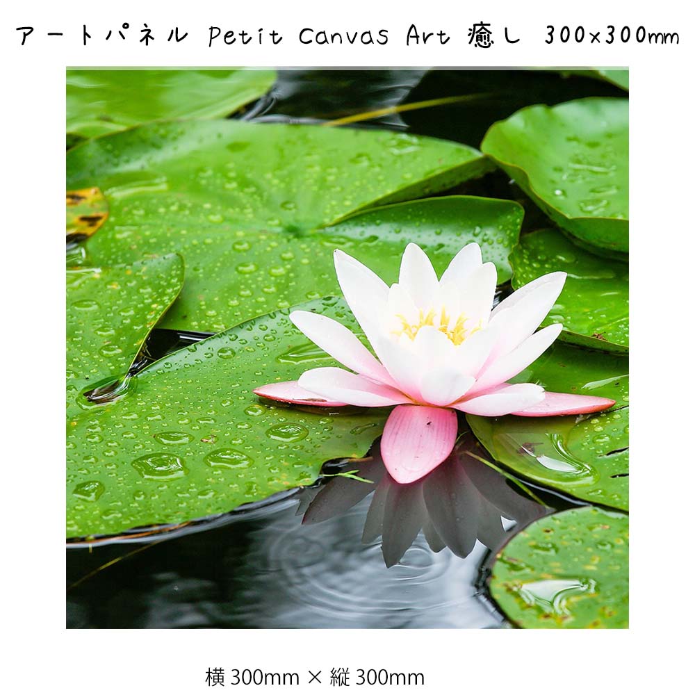 100 本物 アートパネル Petit Canvas Art 癒し 壁掛け 絵画 横300mm 縦300mm 壁飾り 額縁 ポスター フレーム パネル おしゃれ 飾る 記念 ギフト かわいい 結婚式 プレゼント 新品 模様替え 出産祝い 壁 玄関 リビング 寝 Qdtek Vn