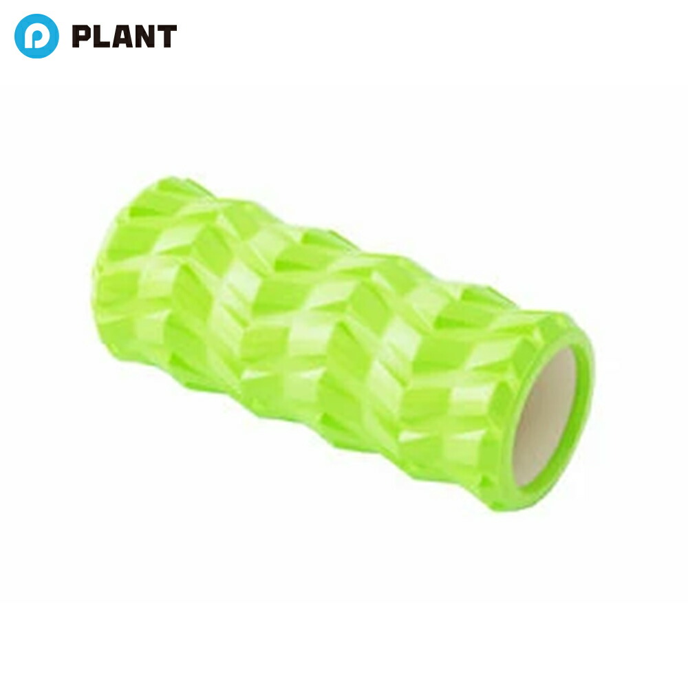 VEGA イオンローラー VEGA イオンローラー 楽天市場】ストレッチフォームローラー : イオン