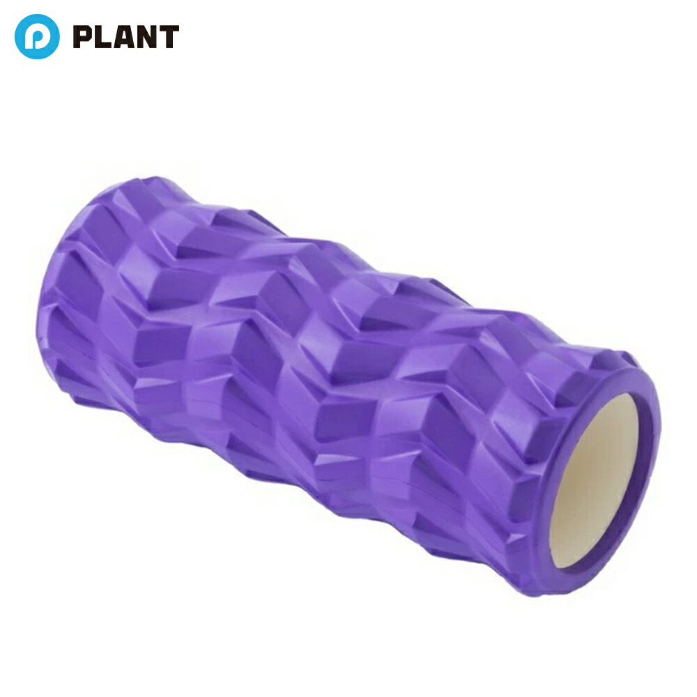 楽天市場】【クーポン配信中】パラセッター フォームローラーシステム