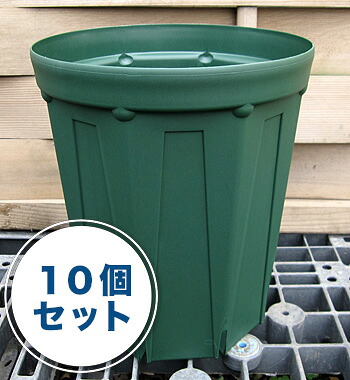 ８号ロングスリット鉢（CSM２４０Ｌ）モスグリーン１０個セット 6,000円