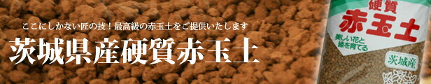 楽天市場】焼成硬質赤玉土 厳選5L メダカ 水槽 土 : 園芸用土のイワモト