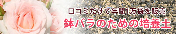 楽天市場】鉢バラのための培養土 18L/3袋セット バラの土バラ 培養土 薔薇の土 培養土 花 培養土 土 用土 : 園芸用土のイワモト