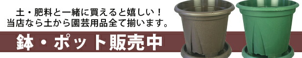 楽天市場】完熟牛ふん堆肥 有機エース 20L 3袋セット! 野菜 肥料 : 園芸用土のイワモト