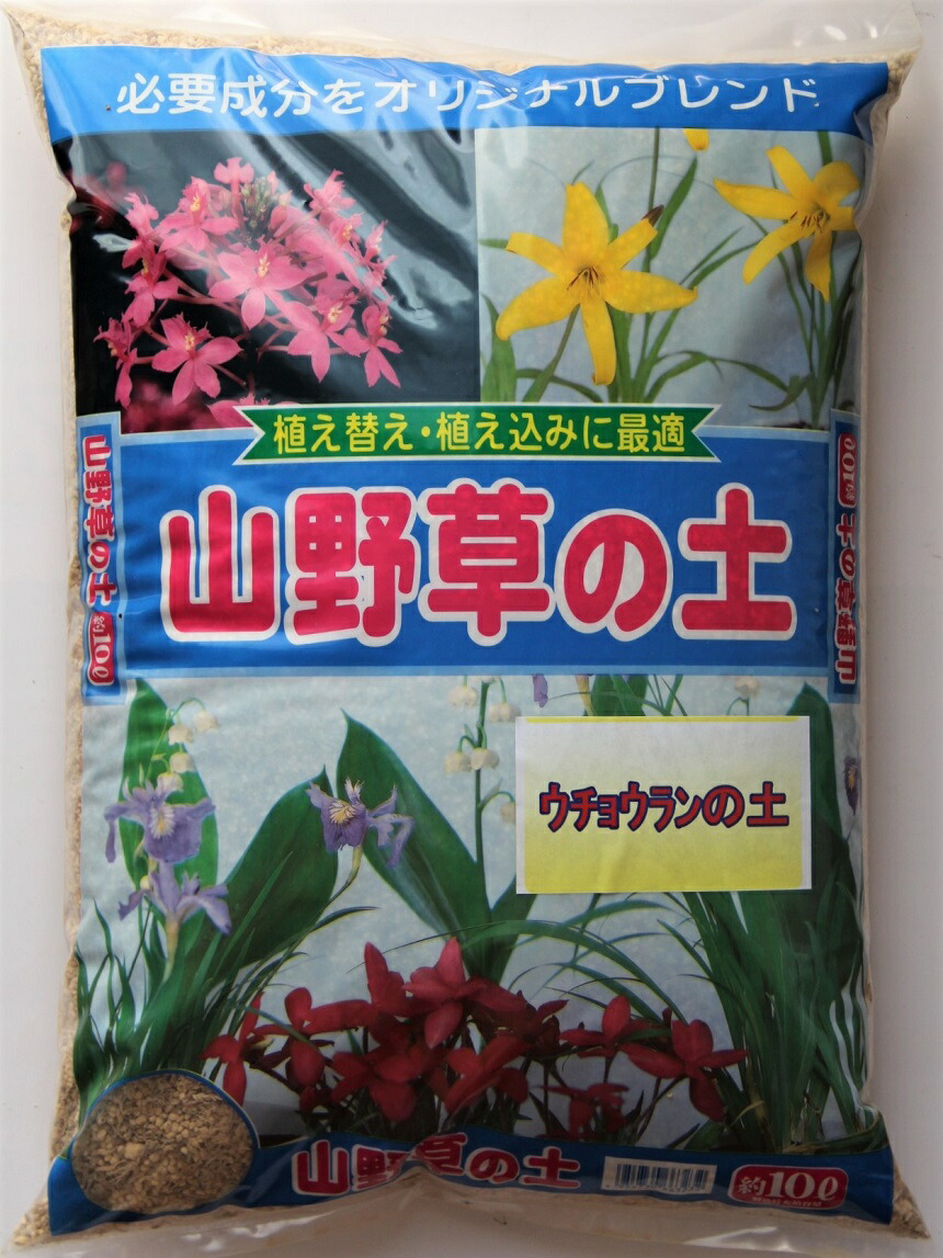 楽天市場】山野草の植え替え、株分けに最適♪【花ごころ・山野草