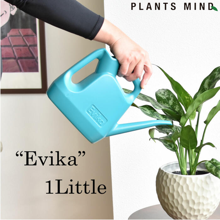 楽天市場 色が選べる 水差し ジョーロ じょうろ エヴィーカ Mini ミニ 1 5リットル 観葉植物 アレンジメント ガーデニング 軽い おしゃれ かわいい スリム コンパクト 加湿器 ガーデニング雑貨 ジョーロ ジョウロ ジョオロ リビング 観葉植物の Plants Mind 花ごころ