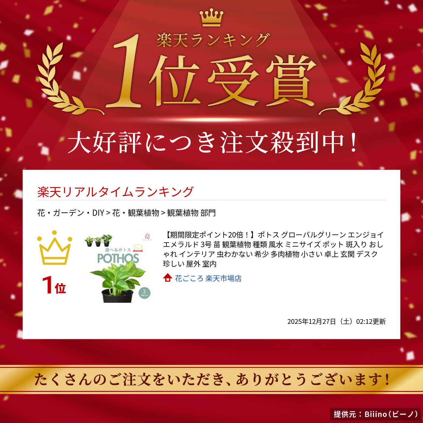 ポトス グローバルグリーン エンジョイ エメラルド 3号 苗 観葉植物