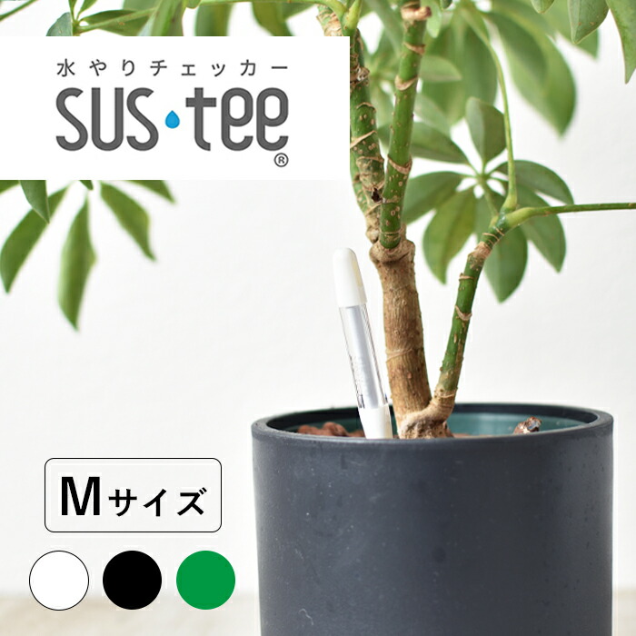 楽天市場】サスティー 水やりチェッカー S サイズ 水分計 観葉植物