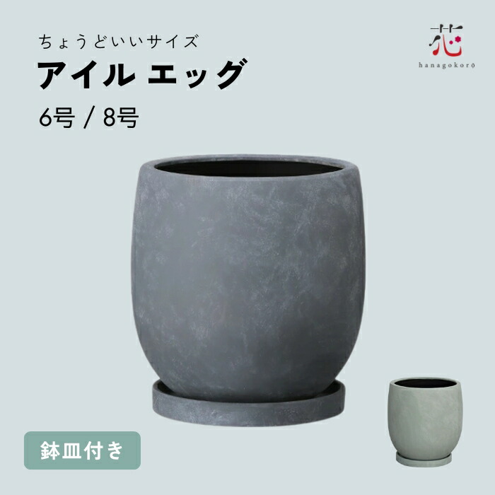 植木鉢 大型 おしゃれ アイルエッグ 6号 8号 植木鉢 底穴あり 受け皿付き 鉢カバー プランターカバー 陶器 観葉植物 軽い かわいい 丸い 人気 室内 白 グレー 植え替え コンクリート モルタル夏ギフト お中元