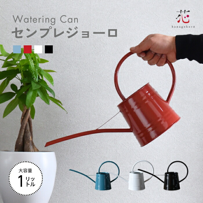 楽天市場】じょうろ おしゃれ ジョウロ ブリキ ミニ 大容量 水差し