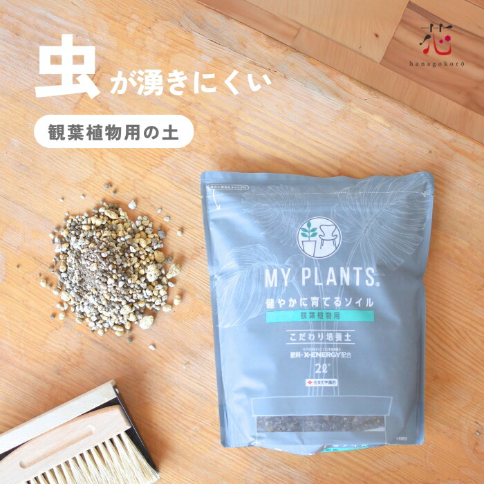 【観葉草木をもっと甲斐甲斐しいに】割り増し金育みそだてる土が叶える比類のない人の緑であること生命現象