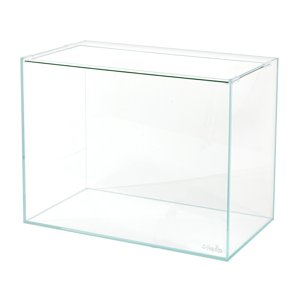 硝子海洋博物館 アクロ６０御機嫌＋百貨店せつ然たる ６０×３０×４５ｃｍ ロゴタイプ付き添い人 約７０Ｌ 熱帯魚 水草 ６０ｃｍ海洋博物館