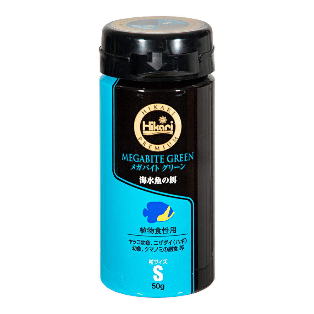 楽天市場】ボルクスジャパン VestaWave VW04HG