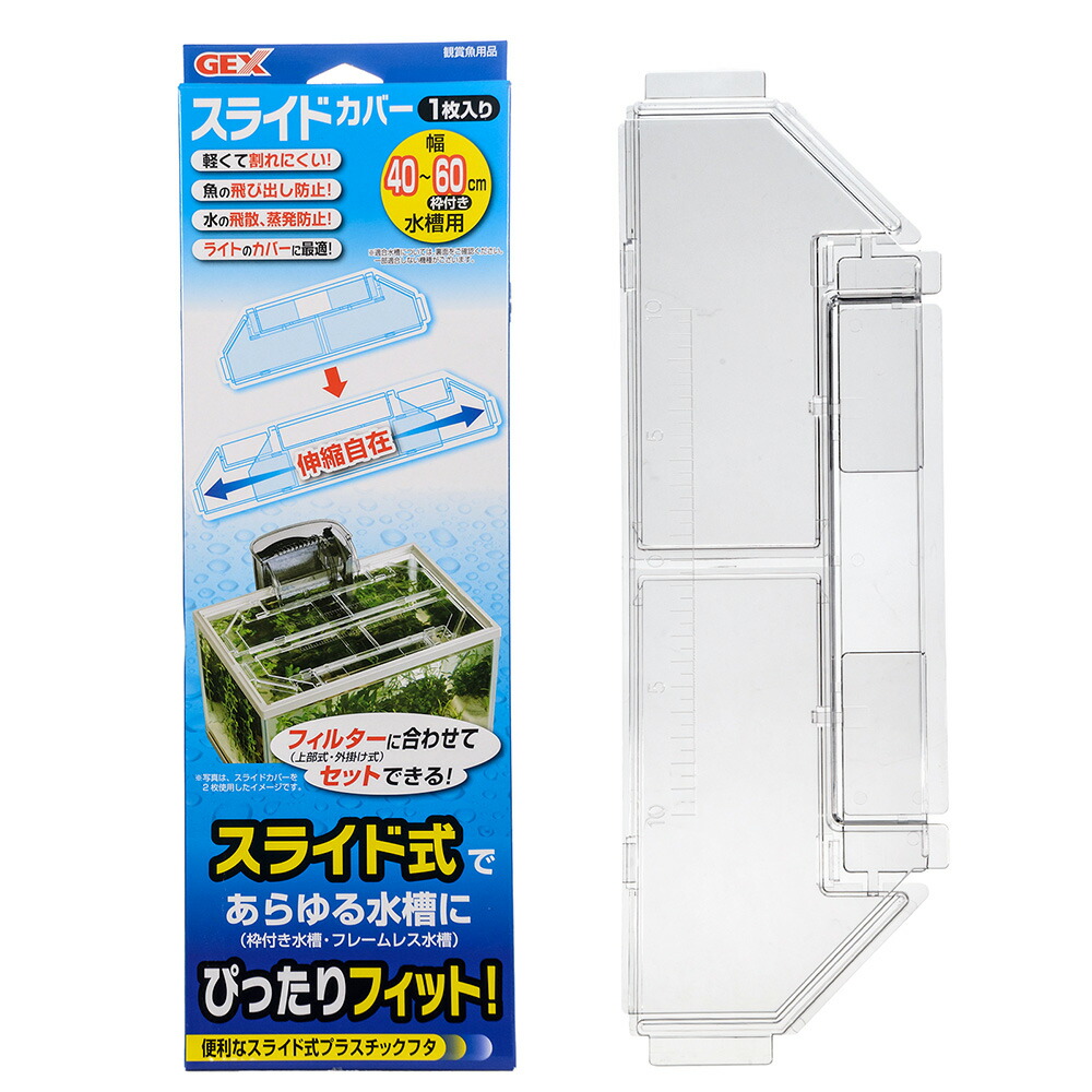 波澄しずく　衛星とカラテア　ランチェキ　まとめ売り　ばら売り可 たぬきcafe #ショートアニメ #毎週月曜午前7時更新 #ベビー