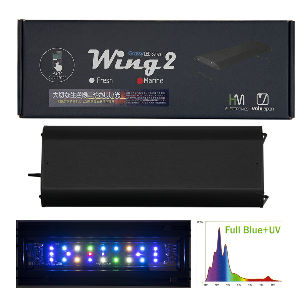 楽天市場】ボルクスジャパン グラッシーウィング2 60 マリン海水