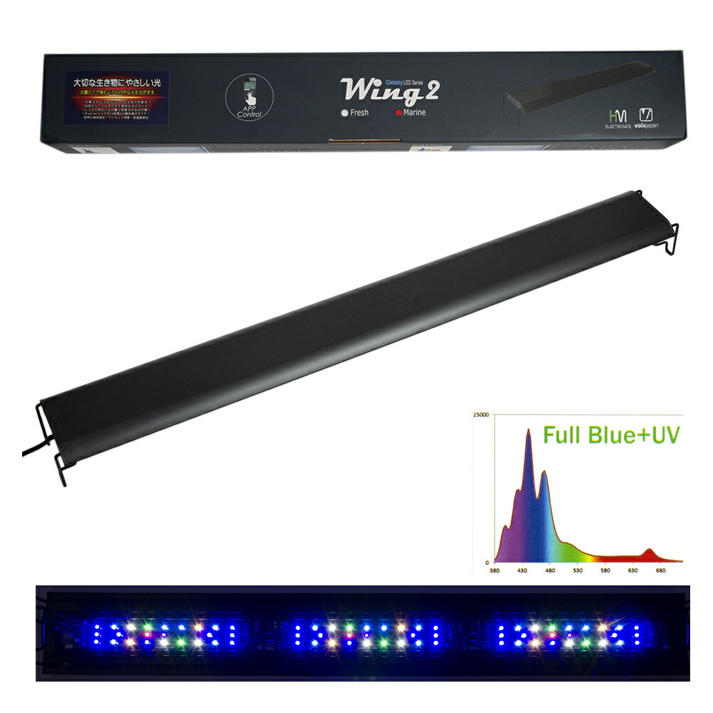 楽天市場】ボルクスジャパン Grassy Wing2 60