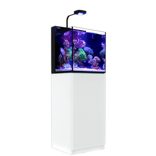 レッドシー　ＭＡＸ　ＮＡＮＯ　Ｇ２　ＣＵＢＥ　セット　ホワイト（旧ＬＥＤセット）　５０Ｈｚ　東日本用　４５ｃｍ水槽　１８０サイズ　２個口