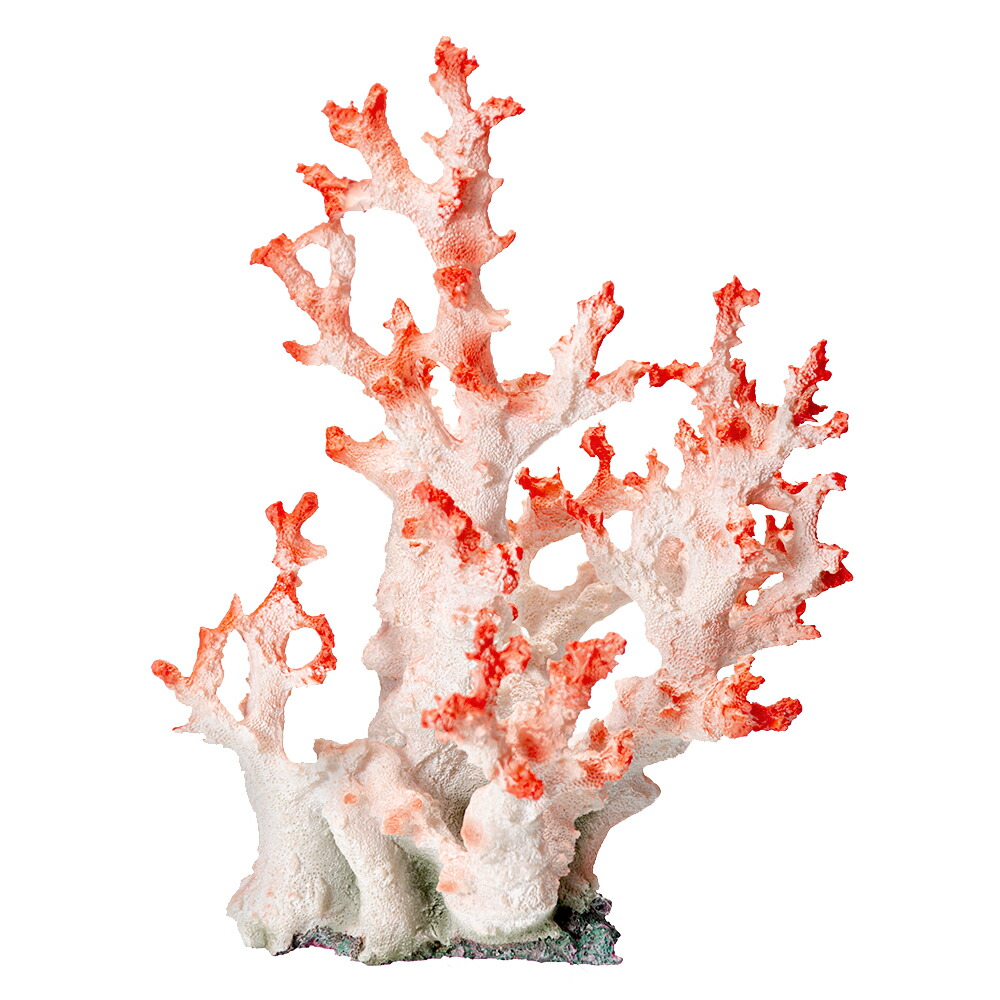 楽天市場】ゼンスイ ZEST レプリカサンゴ M−12 ホワイトピンク