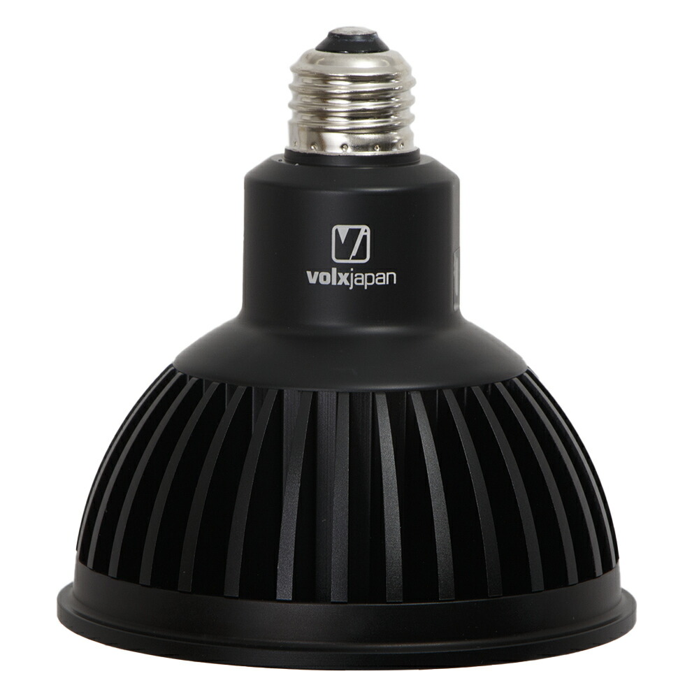 楽天市場】ボルクスジャパン Grassy LeDio