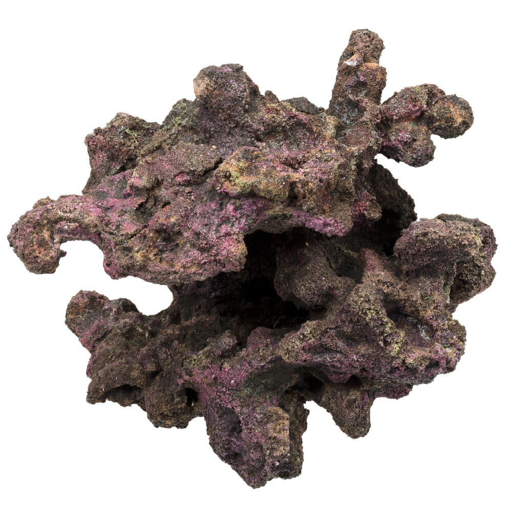 楽天市場】ORCA OCEAN ROCK ♯24 35×27×16cm