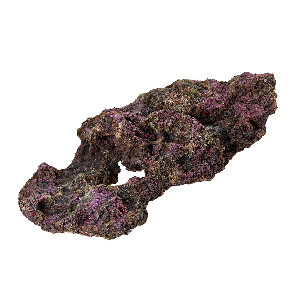 楽天市場】ORCA OCEAN ROCK ♯7 22×18×14cm