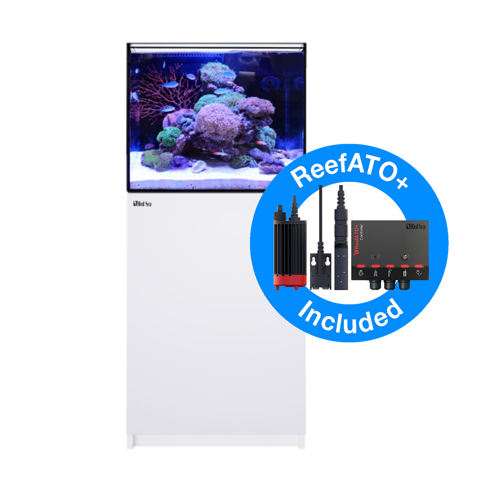 Redsea reefer 170 海水オーバーフロー水槽　その他色々セット 楽天市場】【店頭引渡】レッドシー REEFER170 オーバーフロー