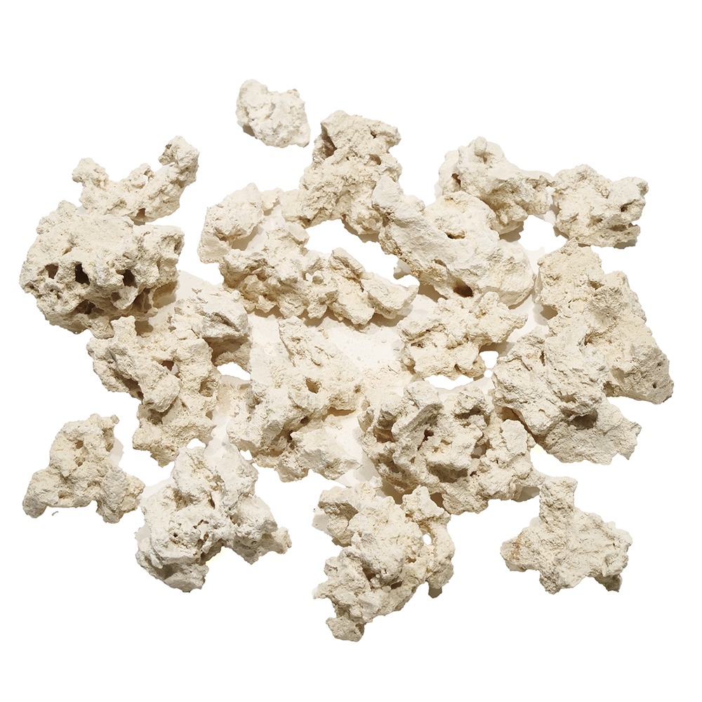 マルコロック リーフセメント セット 楽天市場】マルコロック リーフセーバー エッジ（Edge） S