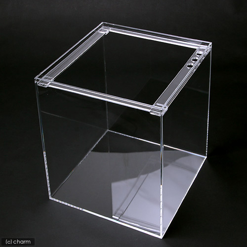 水槽　アクリル水槽　ラクシス　Ｎｏ．１４　（３００&times;３００&times;３６０ｍｍ）　３０ｃｍ水槽｜plantstech店 18,781円