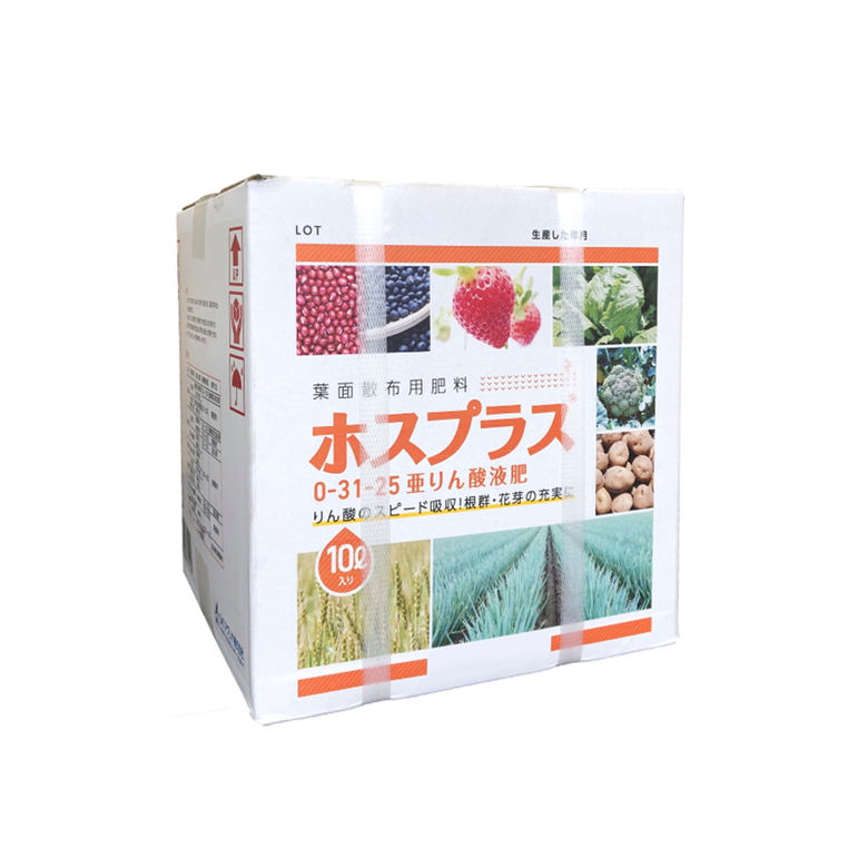 芝地特集  ～芝地を美しく保つ悧巧に～