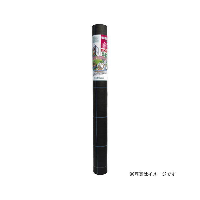 芝地特集  ～芝地を美しく保つ悧巧に～