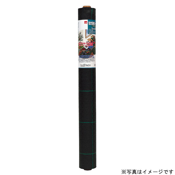 芝地特集  ～芝地を美しく保つ目的に～