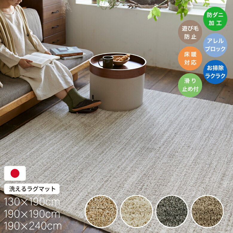 【洗える日本製ラグマット】 Ecru エクリュ 全12種 4色×3サイズ 洗える 洗濯可 滑り止め付 掃除がラク 床暖房対応 遊び毛防止 防ダニ加工 アレル物質ブロック 国産 インテリア カーペット ラグ マット ウォッシャブル 軽い 四角形 SUMINOE スミノエ ラグマット おすすめ