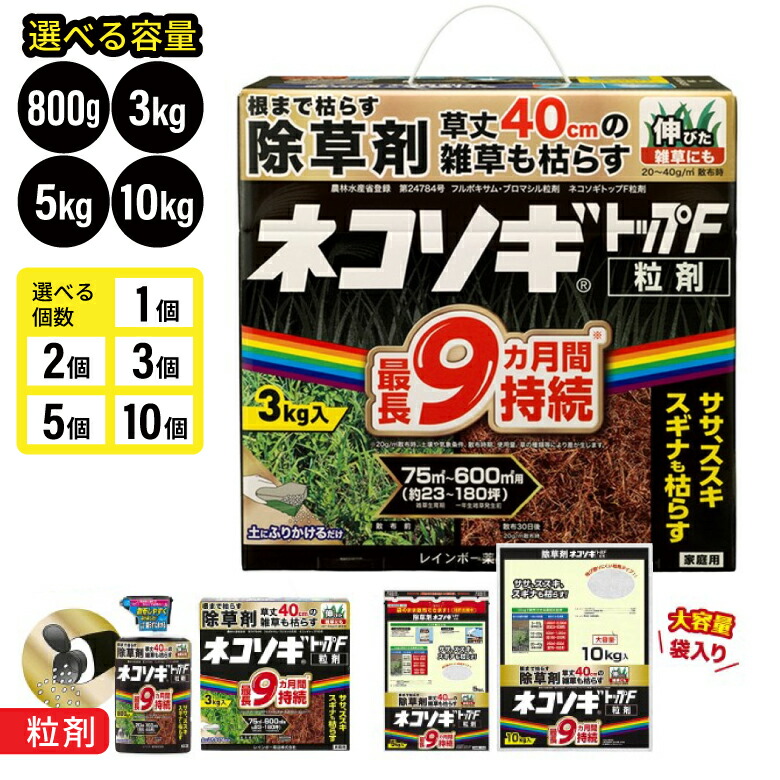 芝地特集  ～芝地を美しく保つ悧巧に～